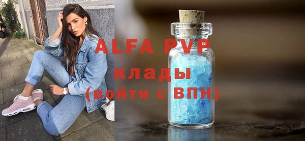 индика Армянск