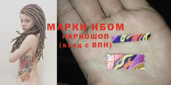 индика Армянск